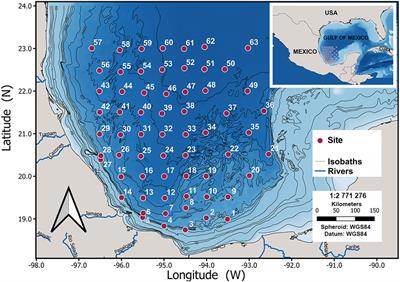 Depth-related patterns and regional diversity of free-living nematodes in the deep-sea Southwestern Gulf of Mexico